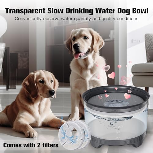 5.5L No Spill Dog Water Bowl