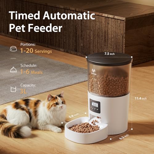 Automatic Cat Feeders