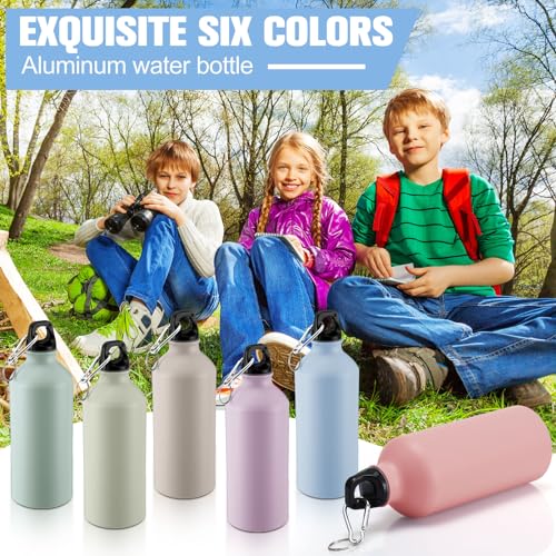 12 Pcs Aluminum Water Bottles Bulk Reusable Bottles (12 Count)