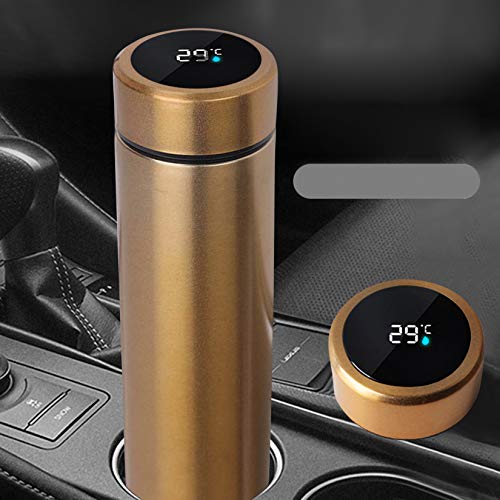 Water Bottle with LED Temperature Display