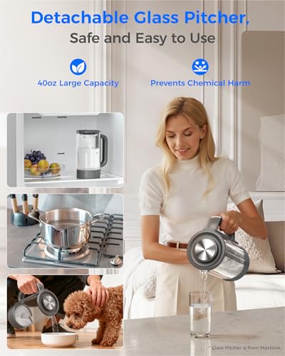 M6H Instant Hot Countertop RO Water Filter System