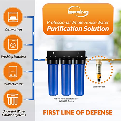 WSP100B Big Spin Down Sediment Filter