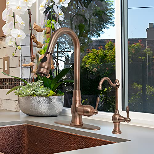 Kitchen Water Filter Faucet