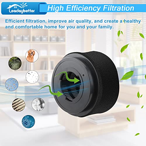 2 Replacement Foam & Filter Compatible with Style 9 (2 Count)