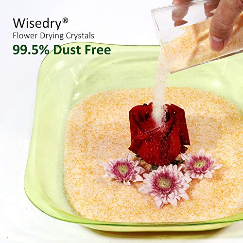 10 LBS Silica Gel Flower Drying Crystals (160 Ounce)