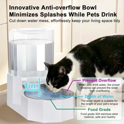4L Stainless Steel Gravity Water Dispenser
