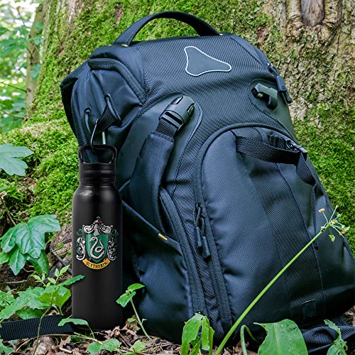 Harry Potter Vacuum Insulated Stainless Steel with Loop Cap
