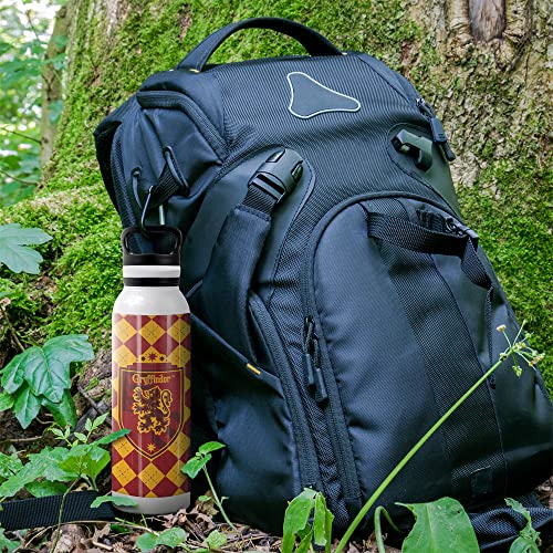Harry Potter Vacuum Insulated Stainless Steel with Loop Cap