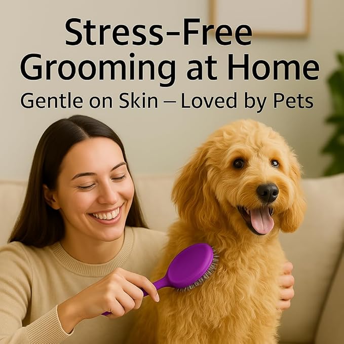 Round Bristle Pet Brush for Dogs and Cats - Soft Dog Brush for Grooming Short or Long Hair - Gentle Tool for Sensitive Skin Removes Dander, Dirt, and Detangles (Purple) - AquaVibe