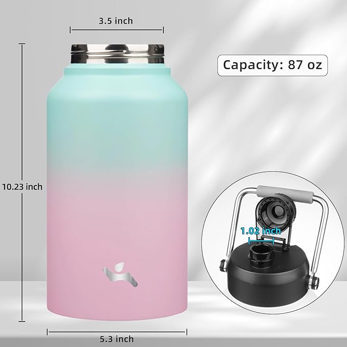 Jug with Handle,87 oz Insulated Water Bottle with Carrying Pouch, Double Wall Vacuum Stainless Steel Metal Bottle,Gum