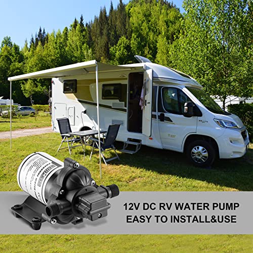 RV Pump 12V Self