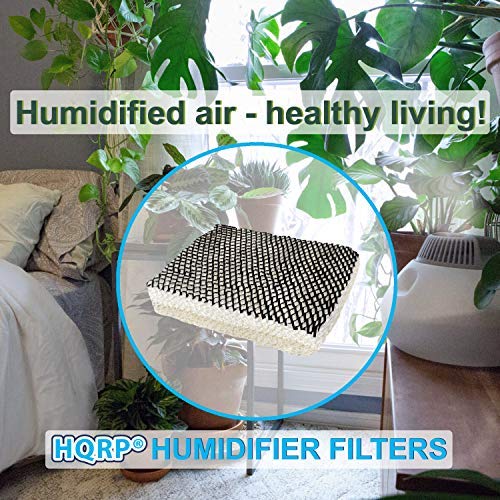 40 Pack Humidifier Wick Filter Compatible with Bionaire C22 (40 Count)