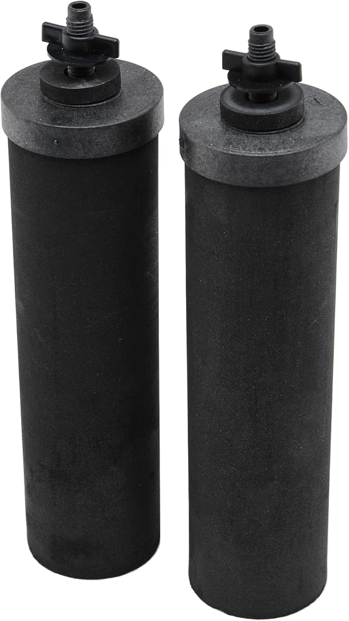 Big Berkey Gravity-Fed Stainless Steel Countertop Water Filter System 2.25 Gallon with 2 Authentic Black Berkey Elements BB9-2 Filters