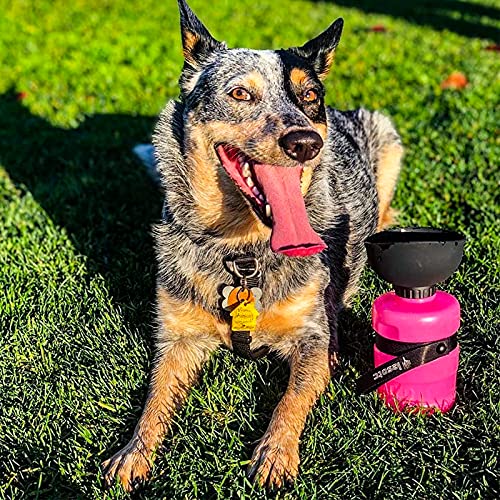Dog Water Bottle