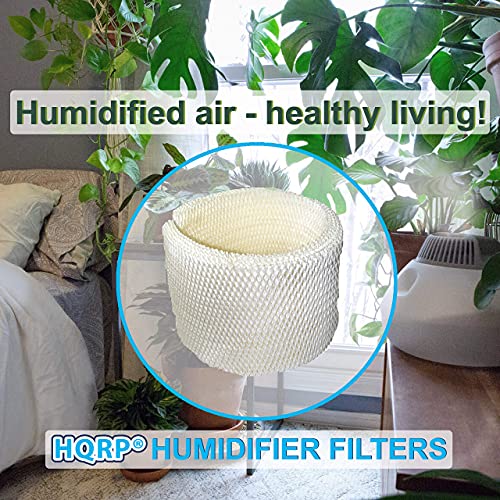 2 Pack Wick Filter Compatible with Aircare Maf2 (2 Count)