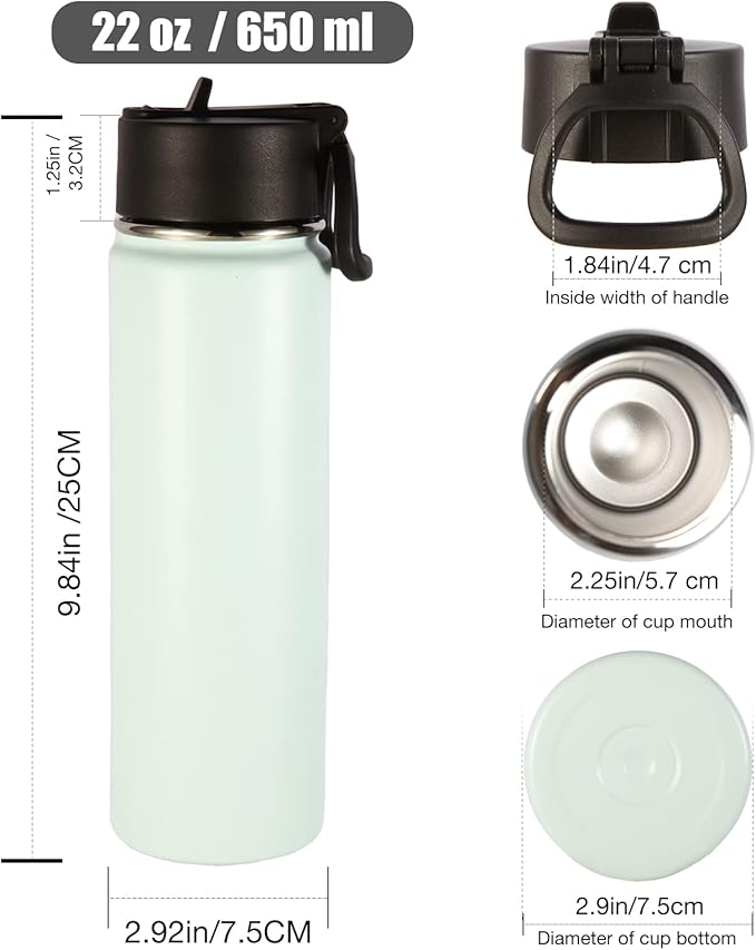 Volhoply Insulated Water Bottles with Straw Bulk 2 Pack, 22 oz Stainless Steel Bottle with Handle Lid,Double Walled Metal Water Cups with Wide Mouth, Reusable Cold Water Flask for School(Fog,2 Set)