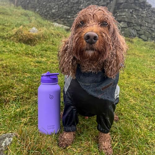 32oz Insulated Water Bottle with Pill Box