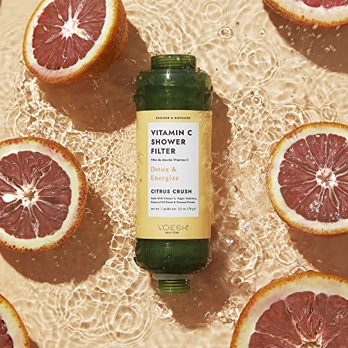 Vitamin C Shower Filter Duo (2 Count)