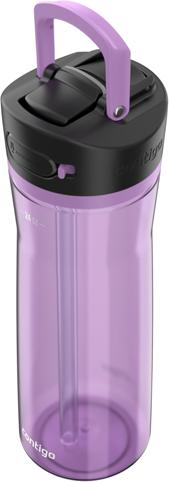 Contigo Ashland Water Bottle 24 oz Pansy (Pack of 4)