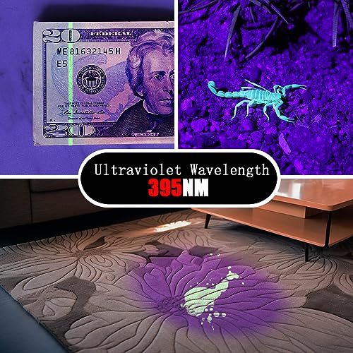 UV Flashlight 2 Pack (2 Count)