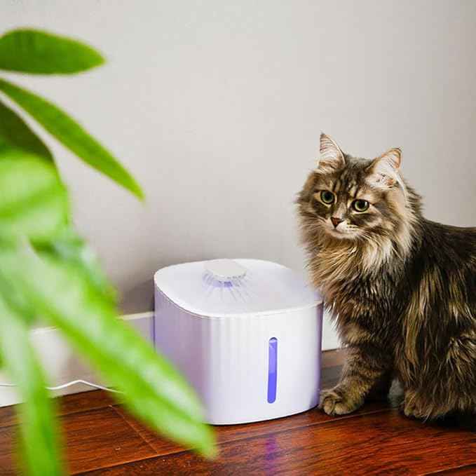 Leo's Paw Cat Water Fountain 84oz/2.5L Automatic Water Dispenser w/LED Light & Water Level Window Triple Charcoal Filter Quiet & Peaceful Flow Tilted Design for Easy Drinking (Fountain + 4 Filters)