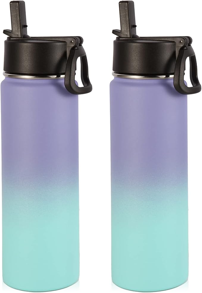 Volhoply Insulated Water Bottles with Straw Bulk 2 Pack, 22 oz Stainless Steel Sports Bottle with Handle Lid,Double Wall Vacuum Metal Travel Water Cups with Wide Mouth for Hiking(Purple Blue,2 Set)
