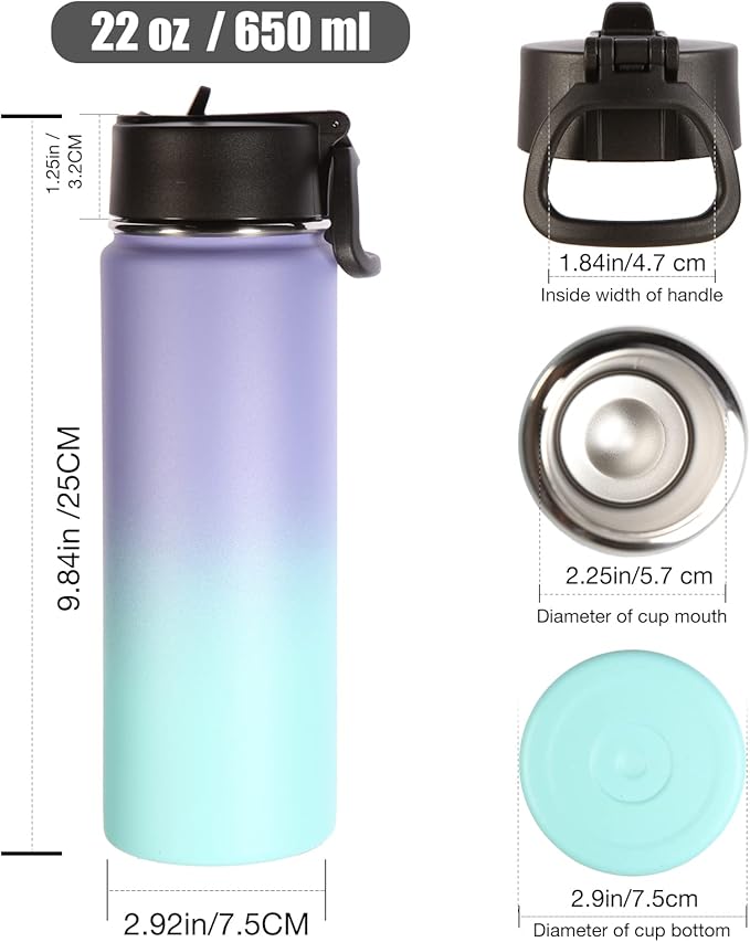 Volhoply Insulated Water Bottles with Straw Bulk 2 Pack, 22 oz Stainless Steel Sports Bottle with Handle Lid,Double Wall Vacuum Metal Travel Water Cups with Wide Mouth for Hiking(Purple Blue,2 Set)