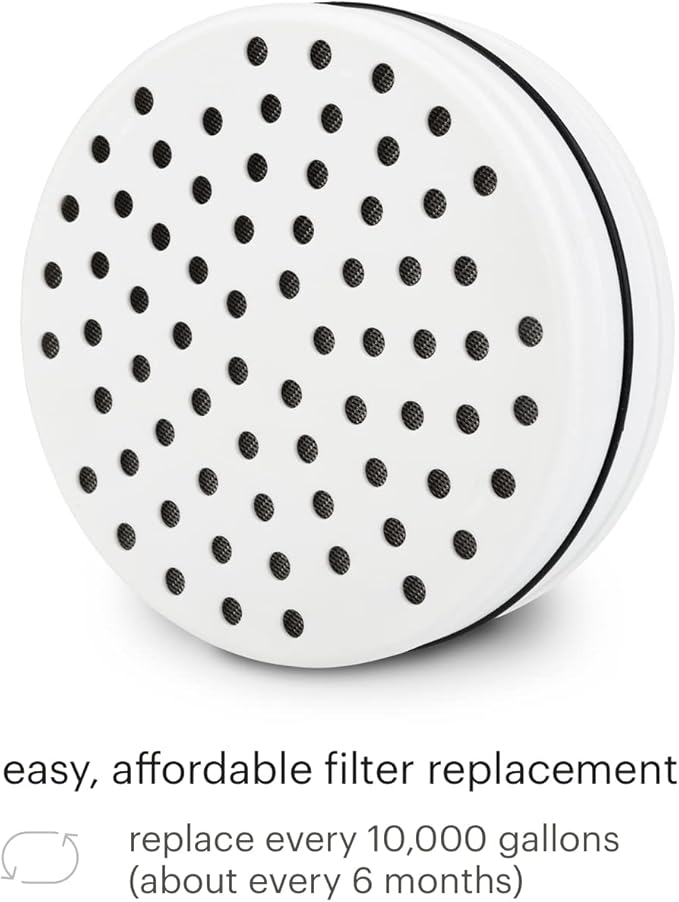 Brondell FF-15X2 Replacement Water Filter for VivaSpring Filtered Shower Head, Lasts 6 Months, 2-Pack