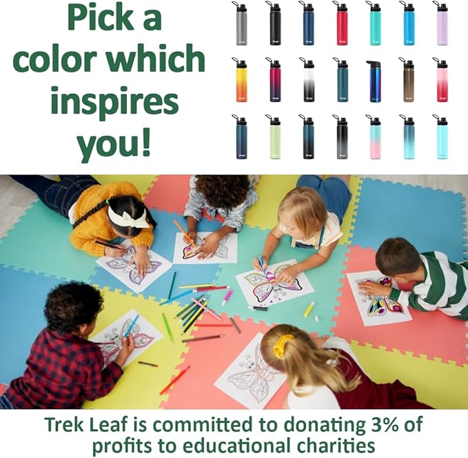 Travel Water Bottle with 3 Lids (Spout, Straw, Flip) Leak Proof, Quality, Vacuum Insulated, Stainless Steel (Cascade Shadow, 22 oz)