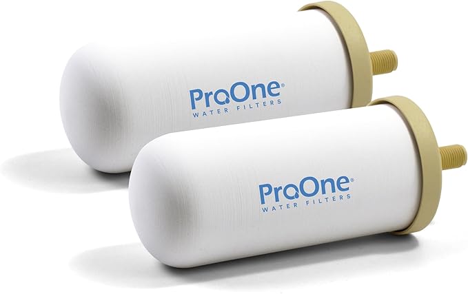 ProOne G-Series 5-Inch Gravity Water Replacement Filter, Traveler+, Big+, and Big II Replacement Water Filter for Countertop Gravity Filtration Systems, Tested Proven to Reduce PFAS, 2 Pack