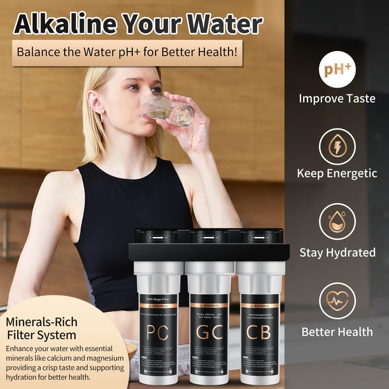 Water Filter for Sink with Faucet