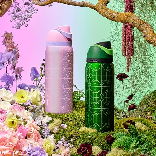 Wicked FreeSip Stainless Steel Water Bottle 32 oz Glinda