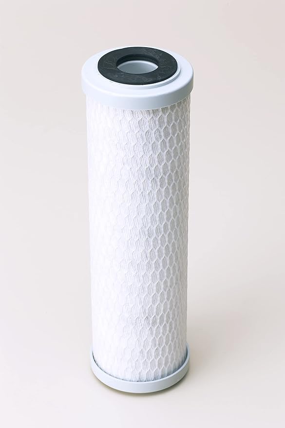 Pentair Pentek SCBC-10 Carbon Water Filter, 10-Inch, Under Sink Silver-Impregnated Carbon Block Replacement Cartridge, 10" x 2.5", 0.5 Micron, White