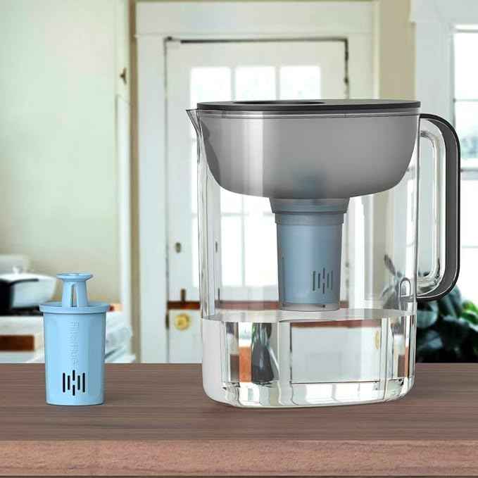 2PACK Premium Water Filter, Compatible with Brita® Water Pitchers and Dispensers, BPA-Free,Reduce 99% of Chlorine, Each Lasts 6 Months, by FILTERHUG®