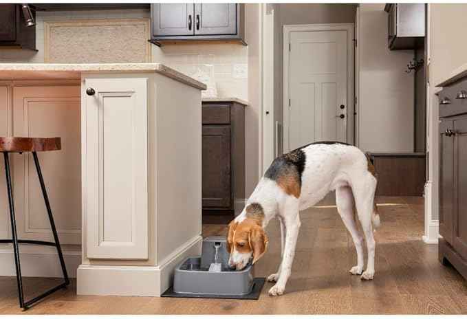 PetSafe Drinkwell 3.7 Litre Drinking Fountain, Ideal for Households with Medium Dogs, Easy Clean Design, Includes Filter, Neues Modell