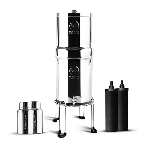 PHOENIX GRAVITY - 2.25 Gallons NSF Certified AISI 304 Stainless Steel Water Filter with 2 Smart Carbon (Black) Filters, 2 POSTreat Steel Fluoride Removal Elements, Free Steel Stand & Water Spigot