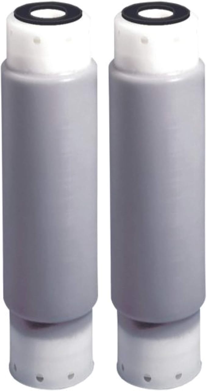CFS – 2 Pack Whole House Water Filter Cartridges Compatible with Aqua-Pure AP117, WHKF-GAC Models – Remove Bad Taste & Odor – Whole House Replacement Water Filter Cartridge