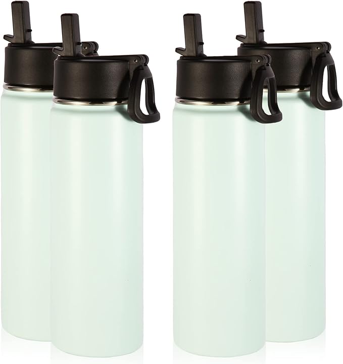 Volhoply Insulated Water Bottles with Straw Bulk 4 Pack, 22 oz Stainless Steel Sports Bottle with Handle Lid,Metal Double Wall Travel Water Cups with Wide Mouth,Reusable Cold Water Flask(Fog,4 Set)