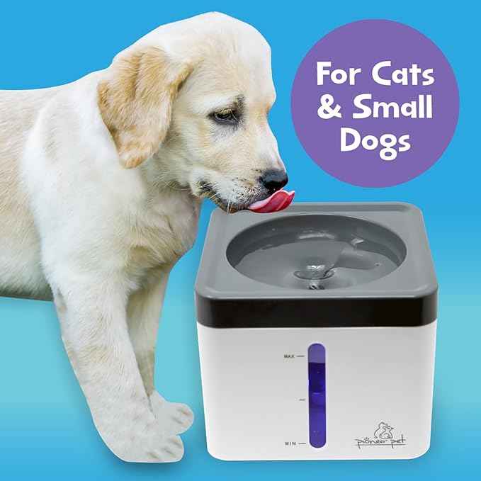 Pioneer Pet Mini Vortex Pet Water Fountain, 80oz/2.3L Cat Water Dispenser, Automatic and Self Cleaning Bowl with LED Light, Perfect for Indoor Cats, Dogs, and Multiple Pets, USB Plug-in