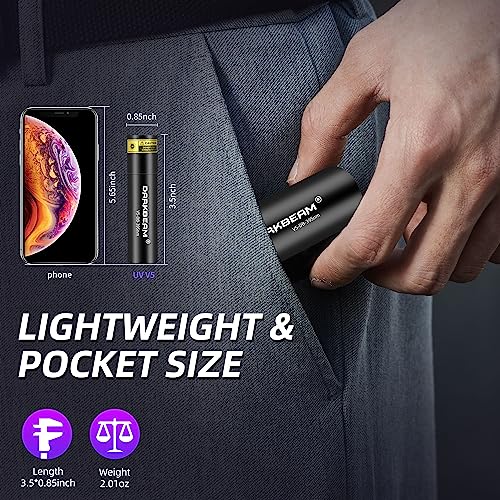 Flashlight UV Black Light 395 NM