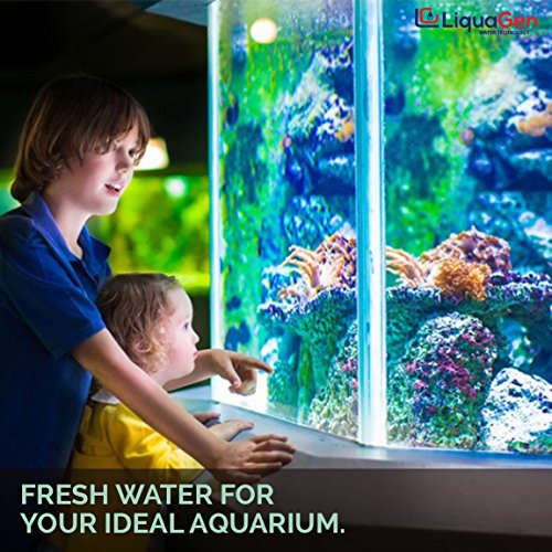 Aquarium Reef Reverse Osmosis Deionization