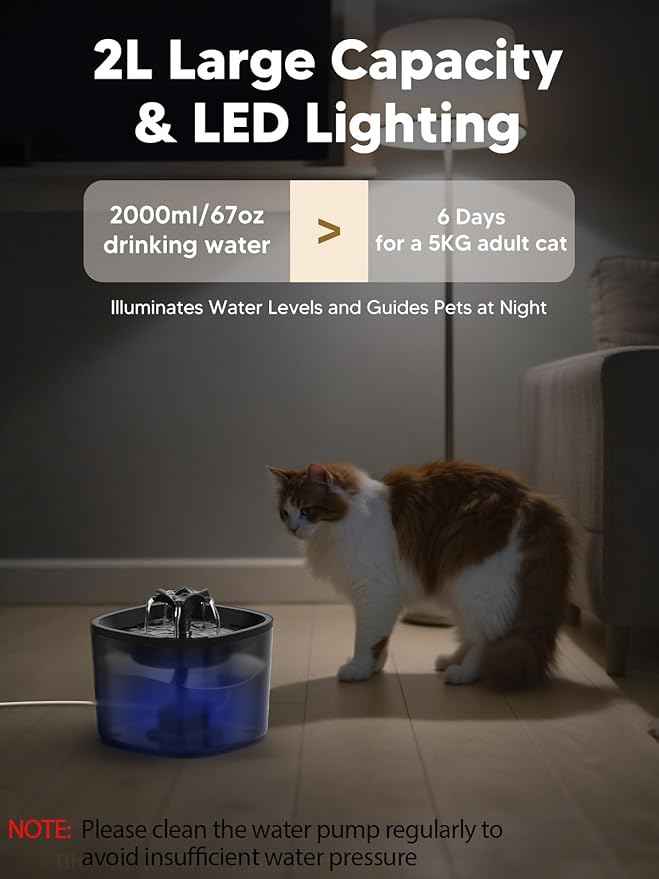 Automatic Cat Feeder and Water Dispenser Set, 5L/20 Cups Timed Cat Dry Food Dispenser, 2L Cats Water Fountain for Drinking with Filter, 10s Meal Call, 20 Portions 6 Meals Per Day