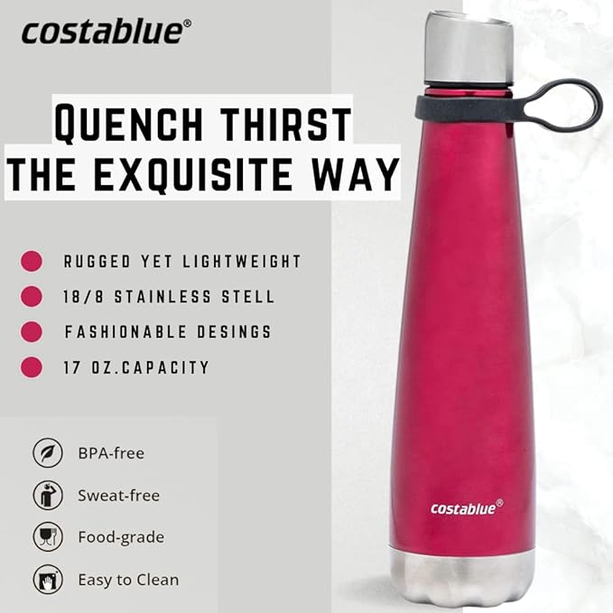 Insulated Water Bottle - On-The-Go Refillable Stainless Steel Water Bottles For Adults, Reusable Thermos Travel Tumbler With Leak-proof Lid For Hot & Cold Beverages (17 Oz. Wine)