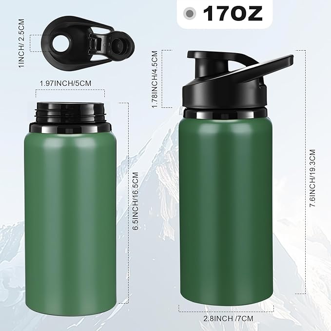 Domensi 12 Pack Aluminum Water Bottle Bulk Reusable Water Bottle, Lightweight Easy Carry Leakproof with Snap Lid Travel Bottles, for Gym Outdoor Sports Cycling Camping Fishing (17oz,Dark Colors)
