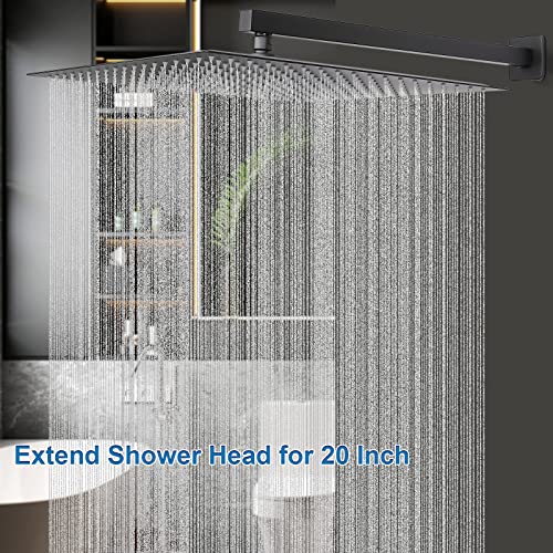 Shower Head with Extension Arm
