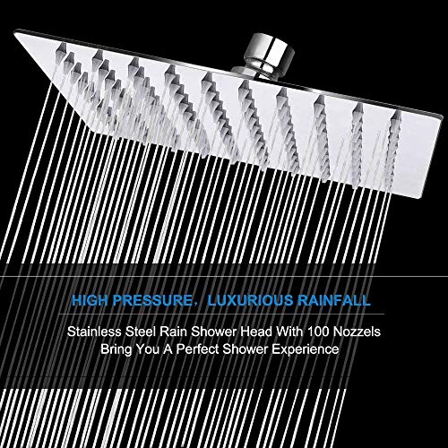 Shower Head with Hose