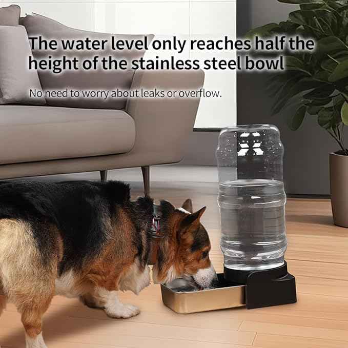 PAKEWAY 1 Gallon Automatic Gravity Dog Water Bowl Dispenser, Stainless Steel Large Capacity Pet Waterer with 3 Filters for Small to Medium Dogs and Cats