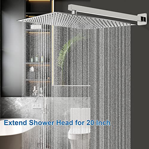 Shower Head with Extension Arm