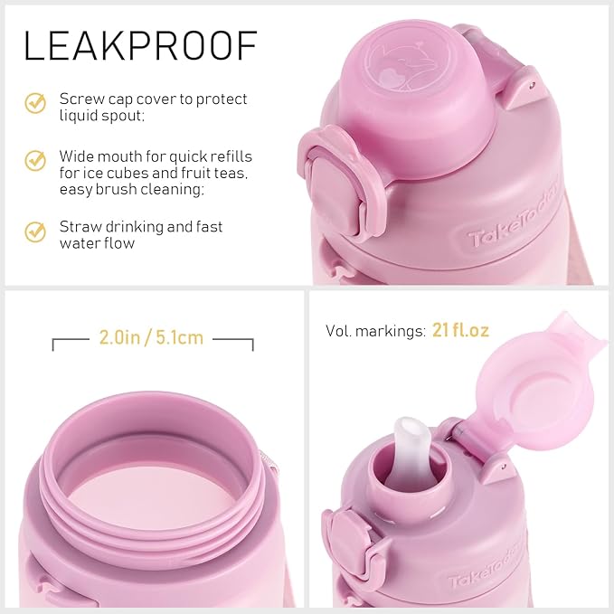 TakeToday Collapsible Water Bottles 20oz (600mL), Foldable Platinum Silicone Travel Water Bottle with Straw & Carry Strap, Leak-Resistant Screw Lid, Wide Mouth, BPA-Free for Hiking, Camping, Travel