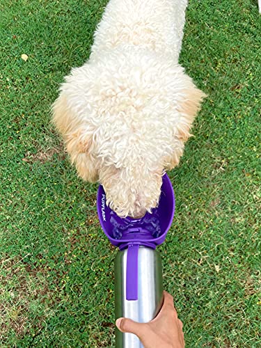 PupFlask Large Dog Water Bottle (40 Fl Oz)